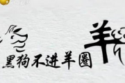 【影视解析】草木影视：在线视频免费观看的利与弊