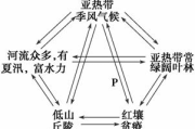【网络安全】Hammer攻击：2025年最隐蔽的数据窃密手段？