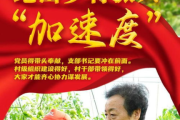 探寻乡土情怀：细数2025年农村题材电视剧的辉煌之作