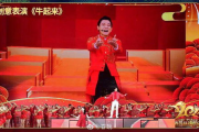 2025年春晚直播回放：重温经典瞬间，感受文化盛宴