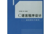 C语言程序软件,深入开发与优化策略-常见问题解决方案