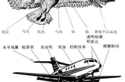 打造香艳飞行体验-空中浪漫之旅解析