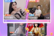 DNF手机版单机游戏,畅享经典阿拉德大陆冒险-安装与攻略解析