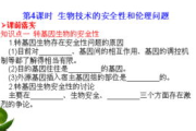 8090电影网伦理问题分析与解决方案-构建健康观影环境
