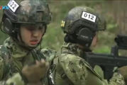 特种兵之火凤凰,军事精英的培养之路-训练模式与精神解析