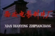 影视沙龙：当电影遇见思想碰撞的火花