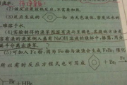 夹看学长的巨大写作业作文视频,提升写作技能-学习方法解析