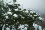 雪飘电影网,观影新体验-线上电影平台优化解析