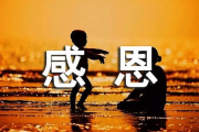 从指尖传达处热情：2025年春季动漫期待盘点