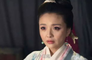 《宋家媵妾》山茶不渣-家族纠葛与人物命运解析