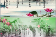 《小蛮腰》姜之鱼：一部描绘都市情感的细腻之作