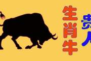 牛牛影视，高清影视资源的集中地-使用与优化指南