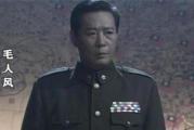 军统特务剧情解析，历史与艺术的完美结合