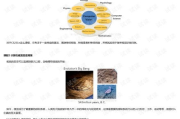 《鬼吹灯》全部系列电视剧,探险之旅的影视呈现-剧情与角色解析