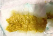 bt种子搜索技巧与安全使用指南-高效查找资源的方法