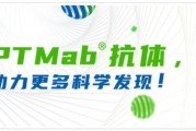 科研：2025年的职业抉择与人生价值