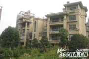 欢乐颂住宅区，高品质生活的典范-居住环境与社区文化解析