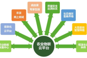 土豆网：视频分享平台的发展历程与用户体验优化