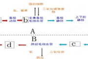 图片大全收集与优化技巧-提升网站视觉吸引力解析