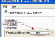 软件锁设置与安全策略解析