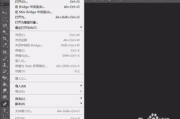 PS软件网页版,在线图像编辑新体验-功能与优势解析
