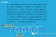 厨房春潮，美味与健康的春季烹饪指南-实用技巧分享