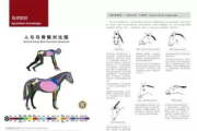 《极限挑战》第二季，精彩挑战再升级-节目内容深度解析