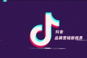 抖音热门视频推荐机制与提升策略解析
