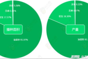 神州泰岳软件股份有限公司,信息化解决方案提供商-企业实力解析