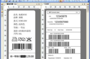 标签设计软件选择与使用指南-提升品牌形象的秘诀